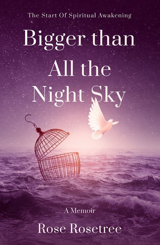 Buchcover: Bigger than All the Nicht Sky