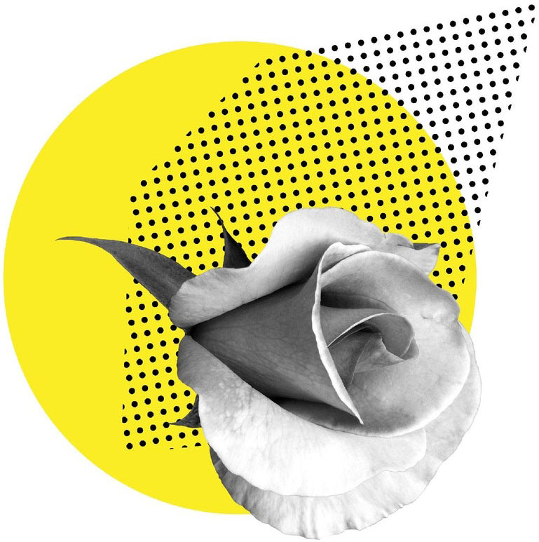 Kombination einer Rastergrafik mit einer Vektorgrafik